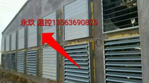 91香蕉app官网安装现场